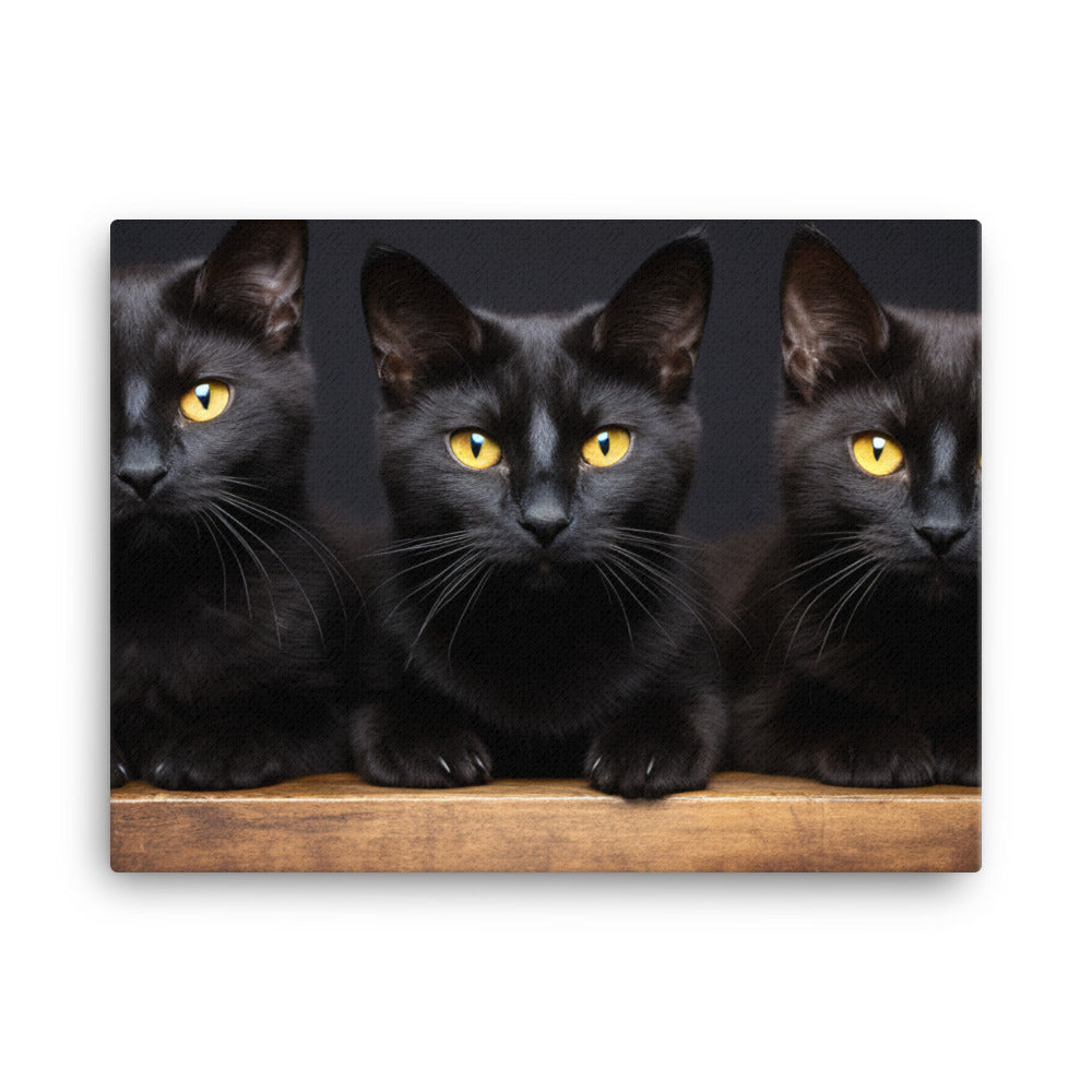 Bombay Canvas - PosterfyAI.com