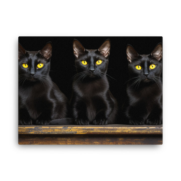 Bombay Canvas - PosterfyAI.com