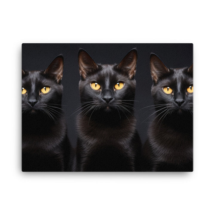 Bombay Canvas - PosterfyAI.com