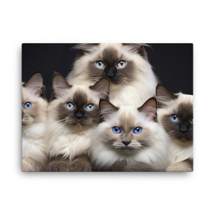 Birman Canvas - PosterfyAI.com