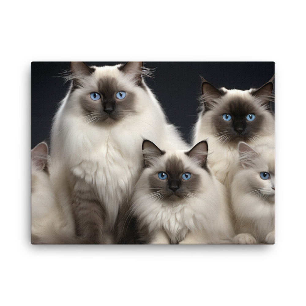 Birman Canvas - PosterfyAI.com