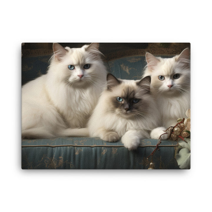 Birman Canvas - PosterfyAI.com