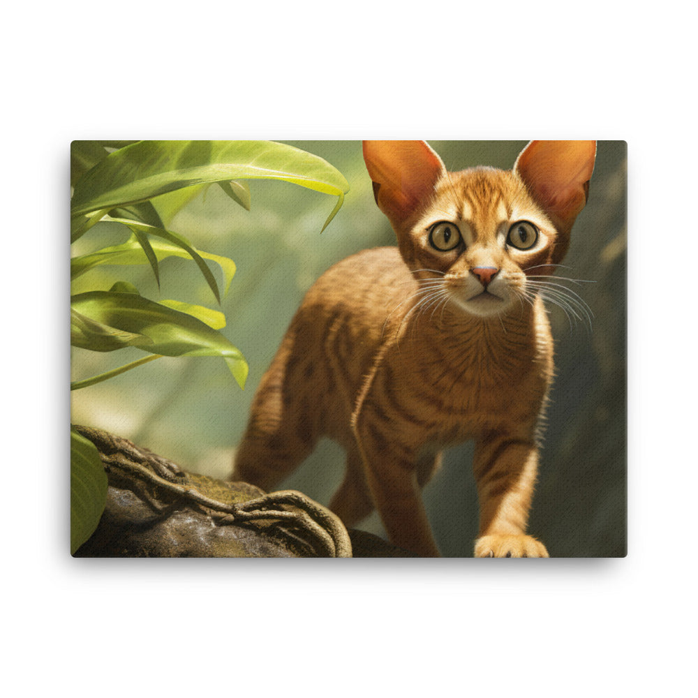 Abyssinian Canvas - PosterfyAI.com