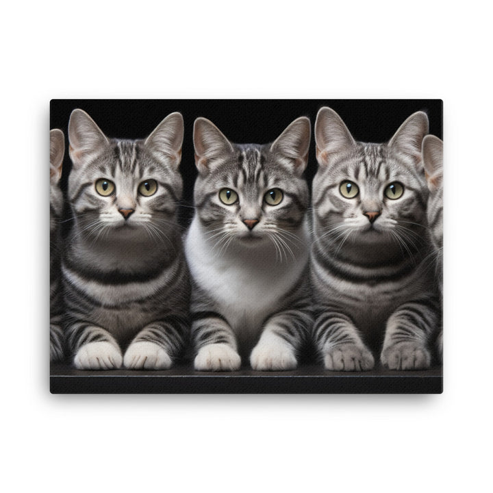 American Shorthair Canvas - PosterfyAI.com