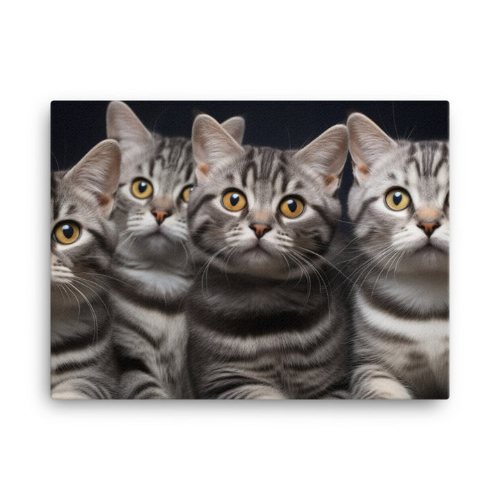 American Shorthair Canvas - PosterfyAI.com