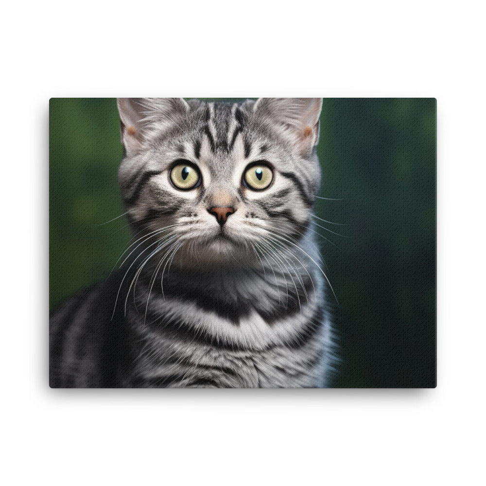 American Shorthair Canvas - PosterfyAI.com