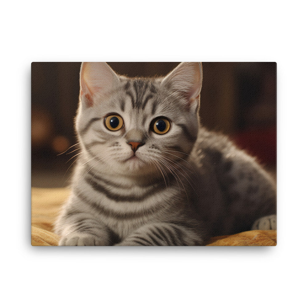 American Shorthair Canvas - PosterfyAI.com