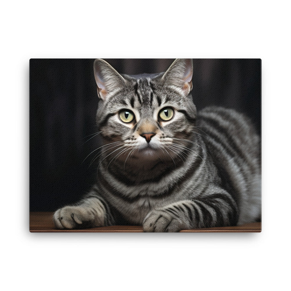 American Shorthair Canvas - PosterfyAI.com