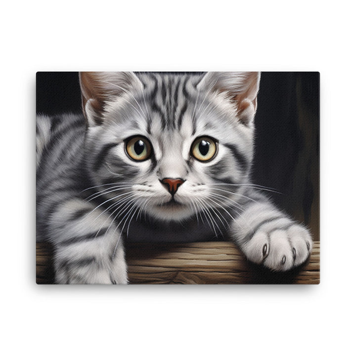 American Shorthair Canvas - PosterfyAI.com