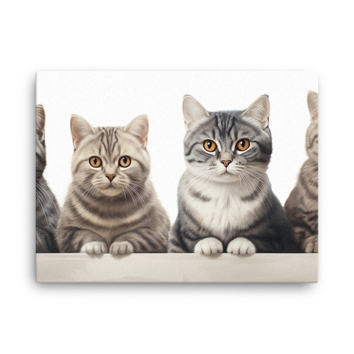 American Shorthair Canvas - PosterfyAI.com