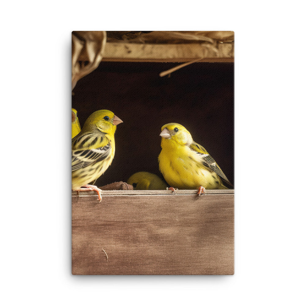Singing canaries in a birdhouse Canvas - PosterfyAI.com