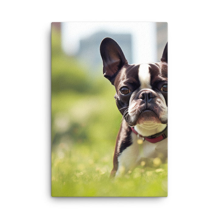 Spunky Boston Terrier in the Park Canvas - PosterfyAI.com