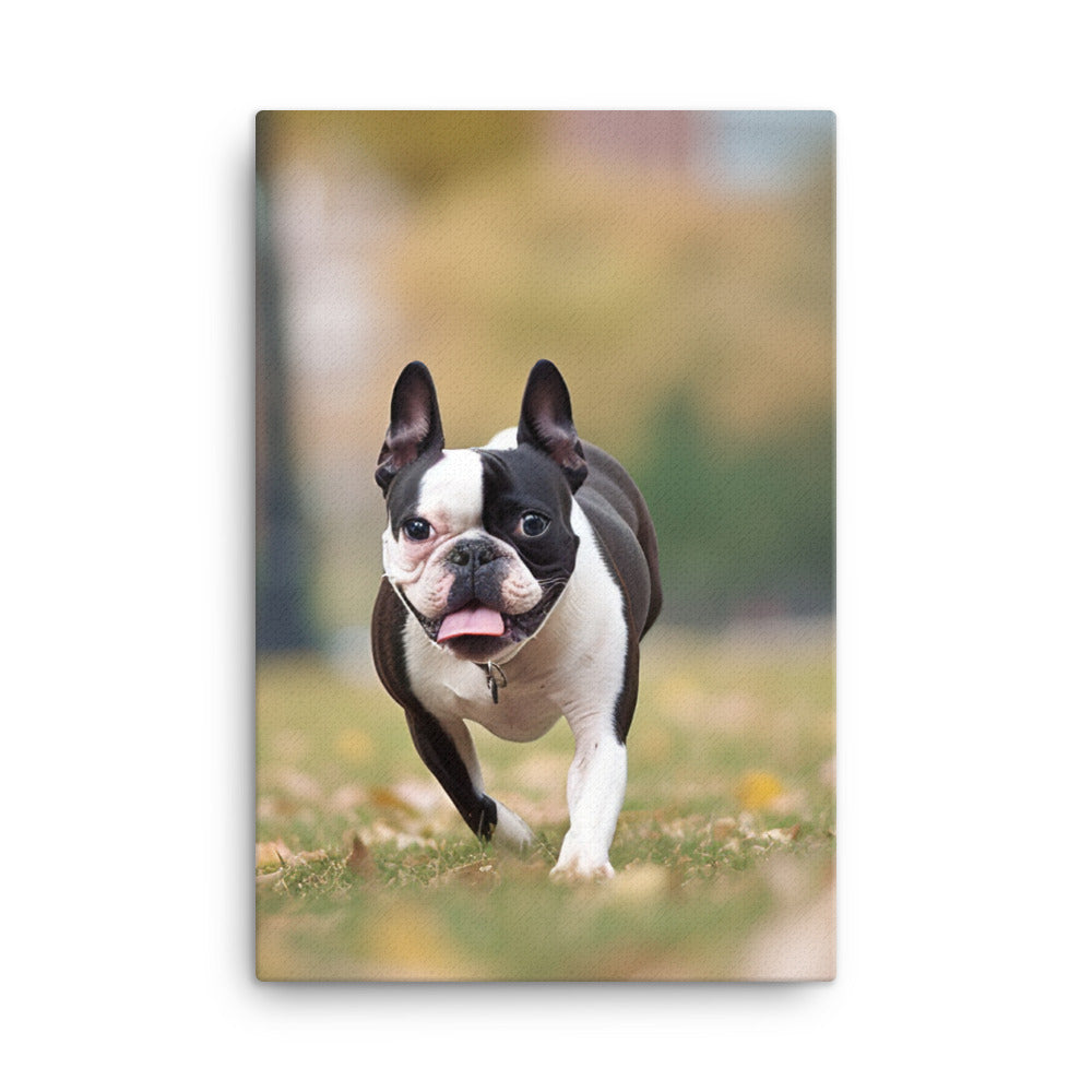 Spunky Boston Terrier in the Park Canvas - PosterfyAI.com