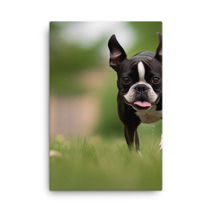Spunky Boston Terrier in the Park Canvas - PosterfyAI.com