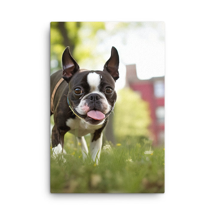 Spunky Boston Terrier in the Park Canvas - PosterfyAI.com