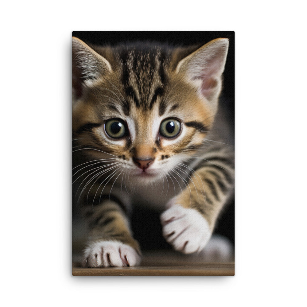 American Shorthair Kitten Canvas - PosterfyAI.com