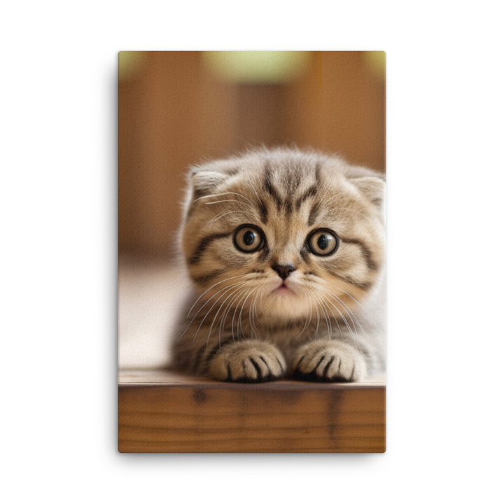 Scottish Fold Kitten Canvas - PosterfyAI.com