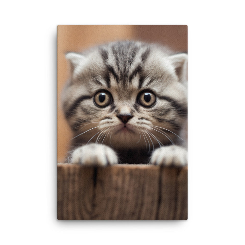 Scottish Fold Kitten Canvas - PosterfyAI.com