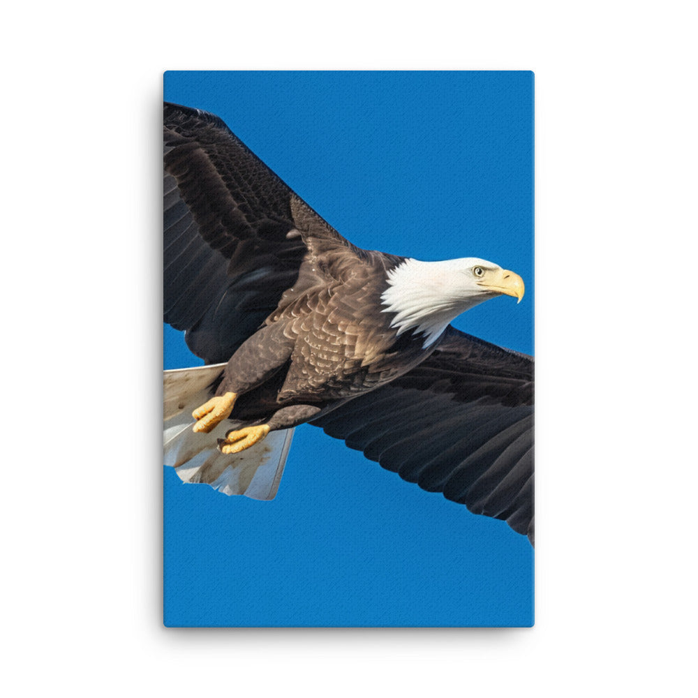 Beautiful Bald Eagle in Flight Against the Blue Sky Canvas - PosterfyAI.com