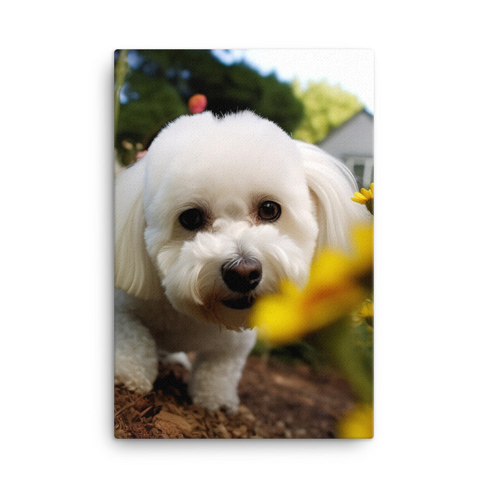 Bichon Frise in a Garden Canvas - PosterfyAI.com