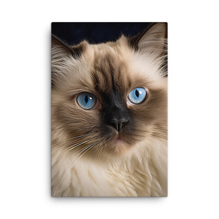 Beauty of Himalayan Cat Canvas - PosterfyAI.com