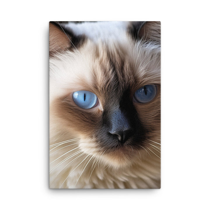 Birman Cat Canvas - PosterfyAI.com