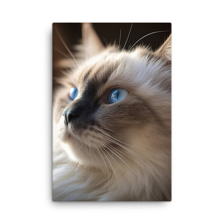 Birman Cat Canvas - PosterfyAI.com