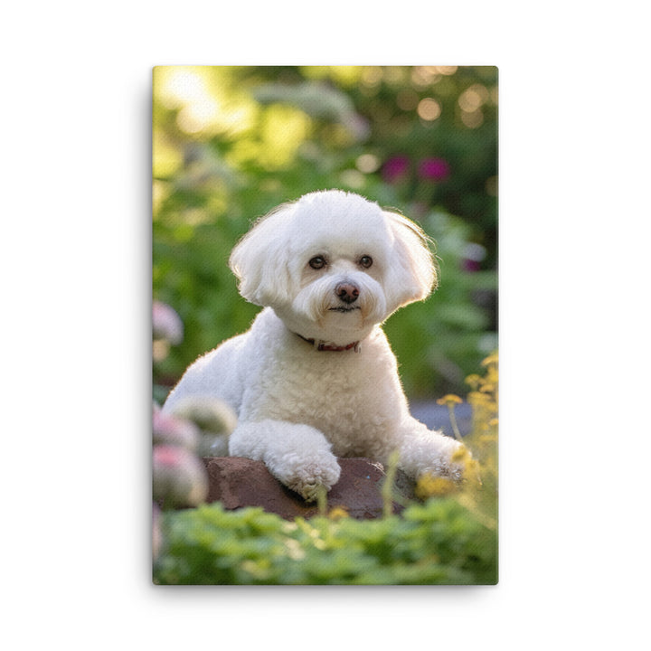 Bichon Frise Canvas - PosterfyAI.com