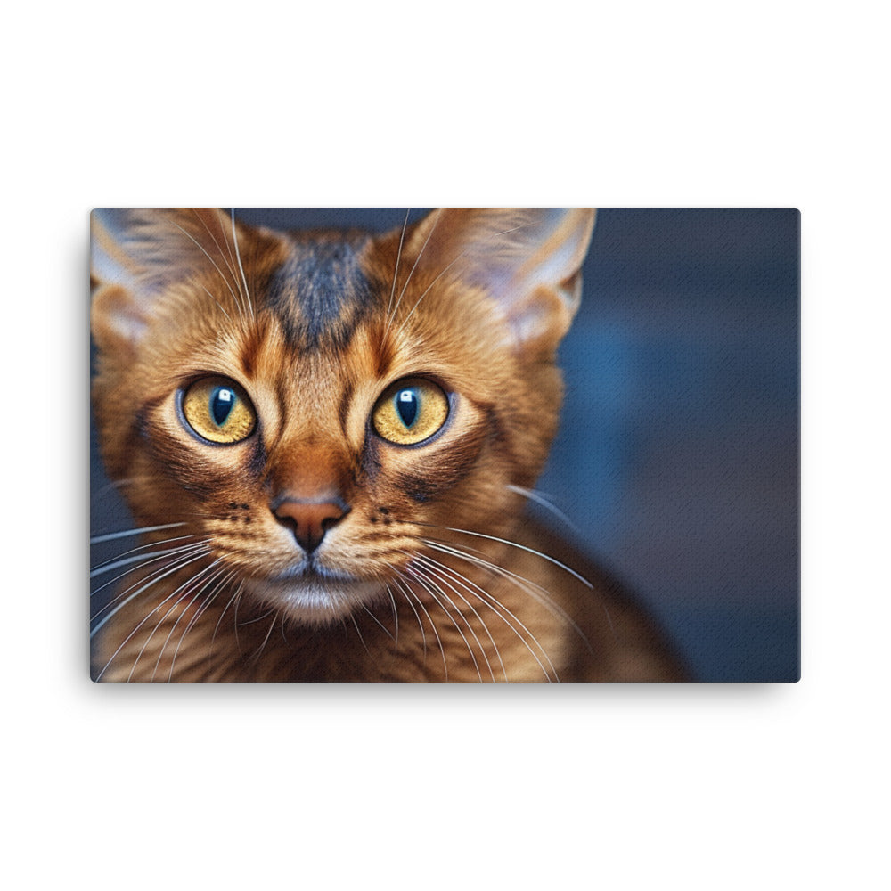 Somali Canvas - PosterfyAI.com