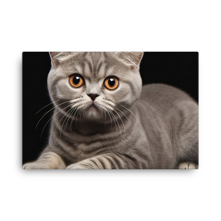 Scottish Fold Canvas - PosterfyAI.com