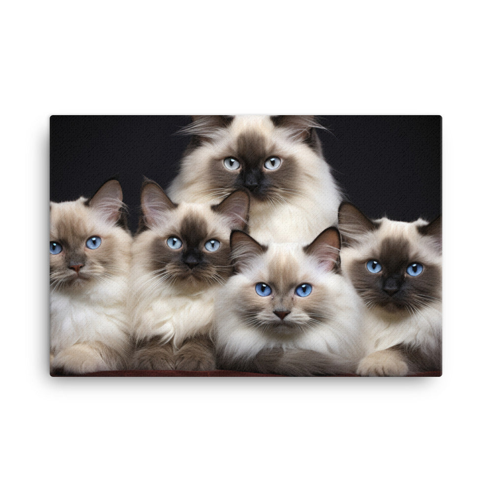 Birman Canvas - PosterfyAI.com