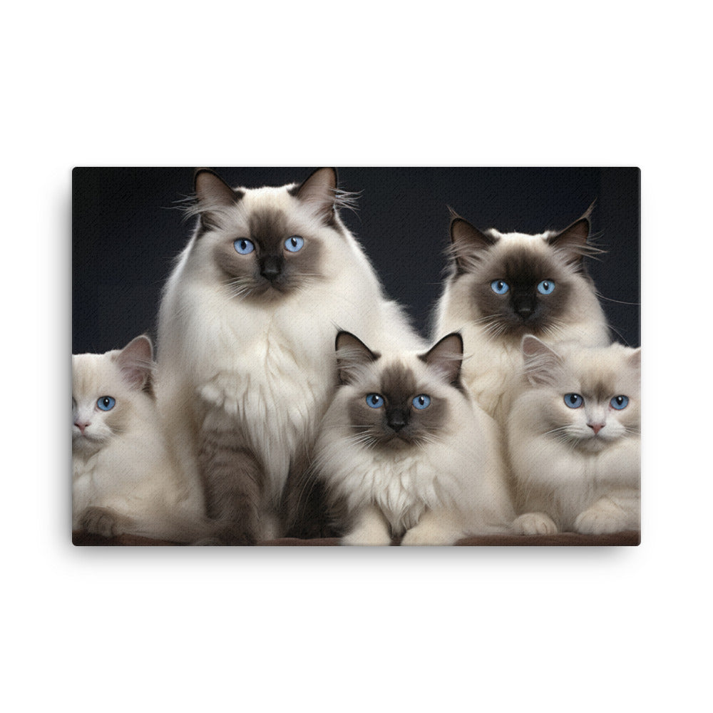 Birman Canvas - PosterfyAI.com