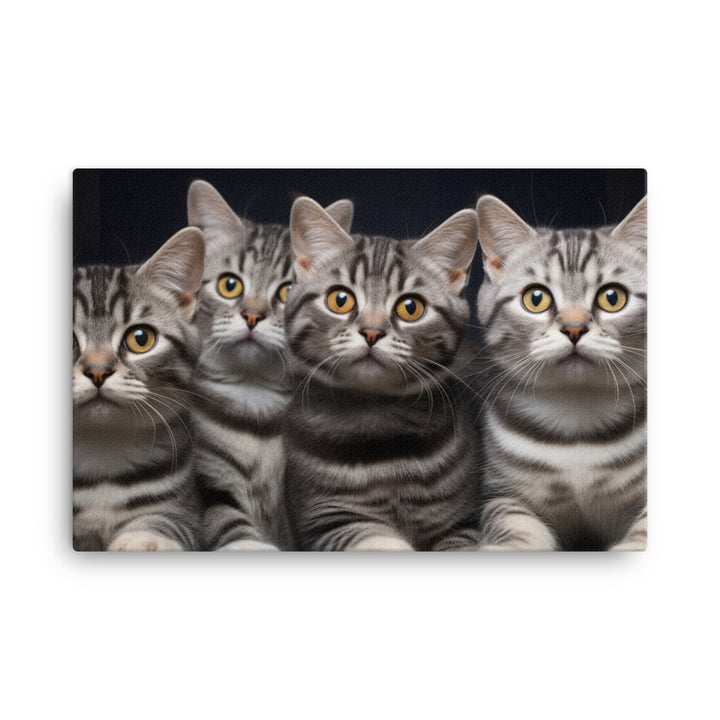 American Shorthair Canvas - PosterfyAI.com