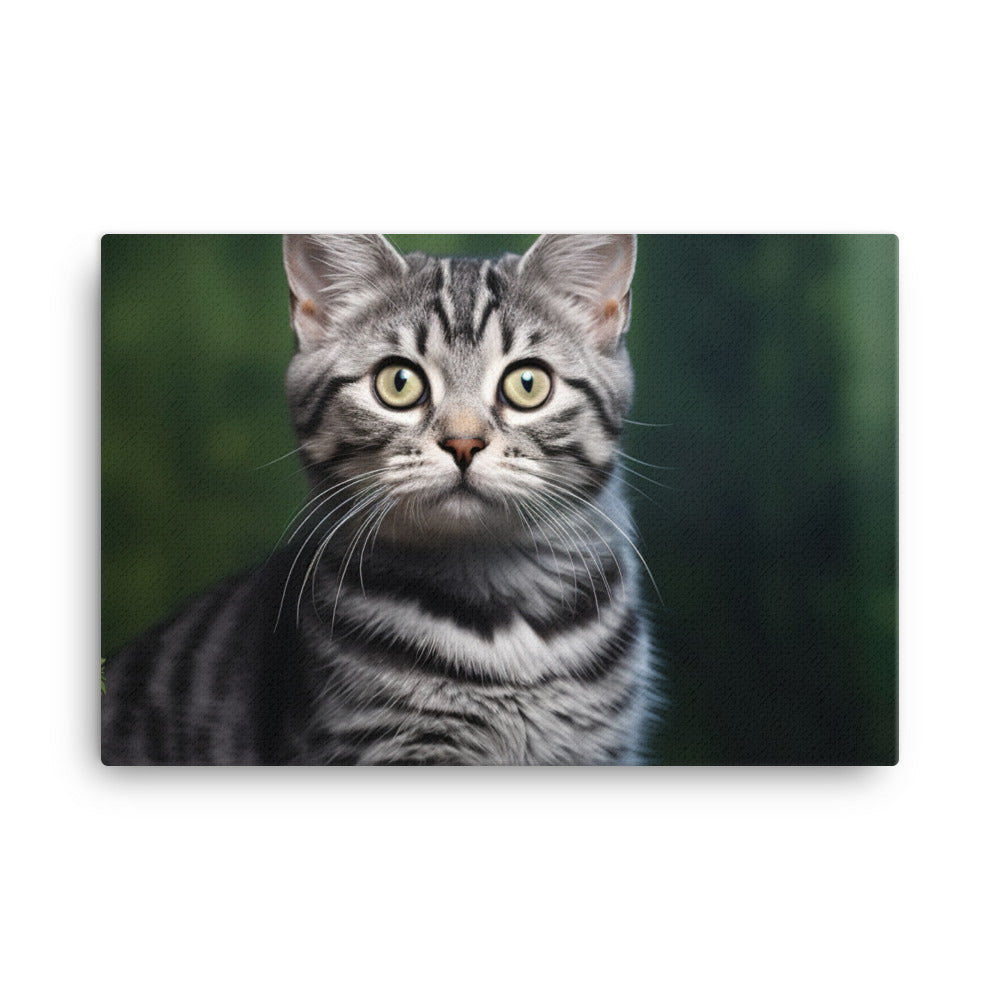 American Shorthair Canvas - PosterfyAI.com