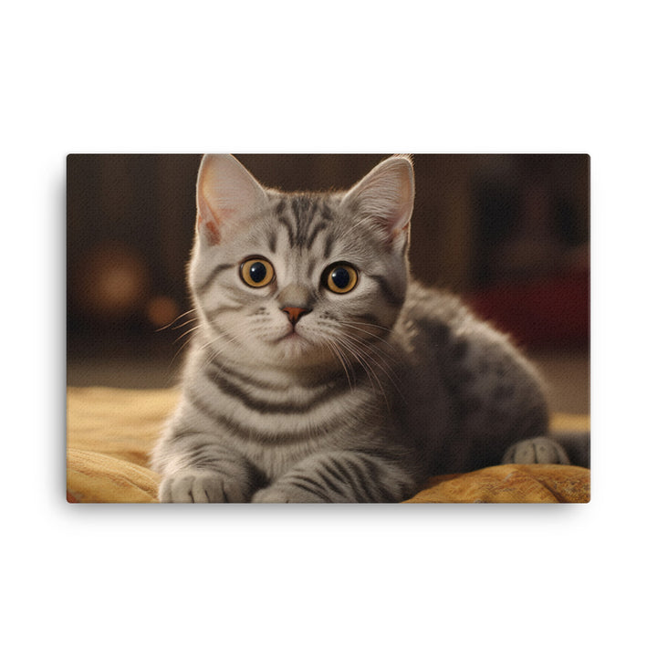 American Shorthair Canvas - PosterfyAI.com