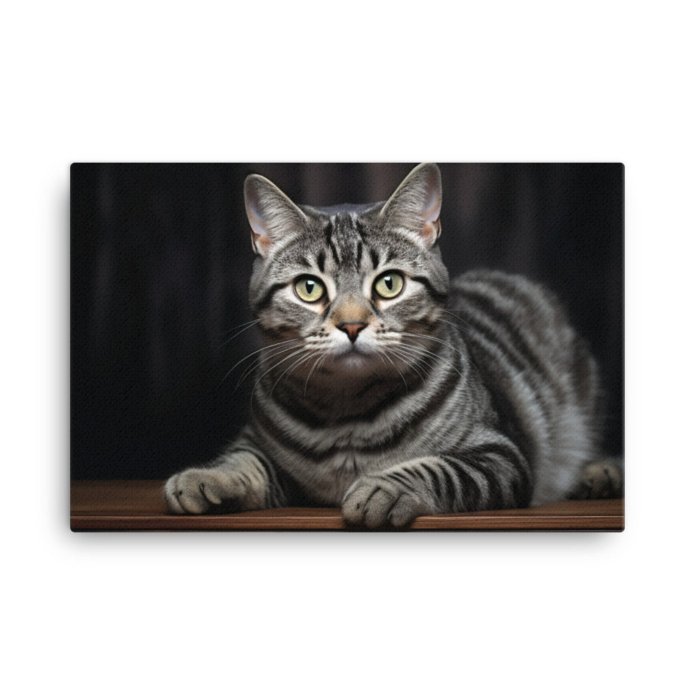 American Shorthair Canvas - PosterfyAI.com