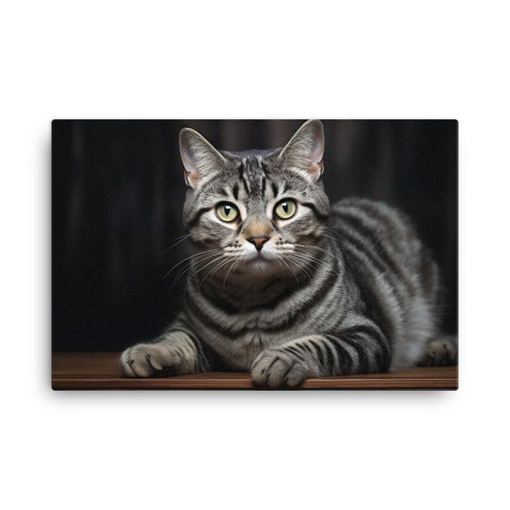 American Shorthair Canvas - PosterfyAI.com