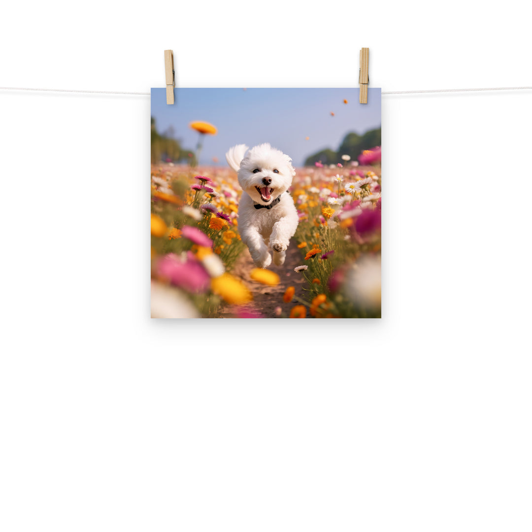 Bichon Frise Photo paper poster - PosterfyAI.com