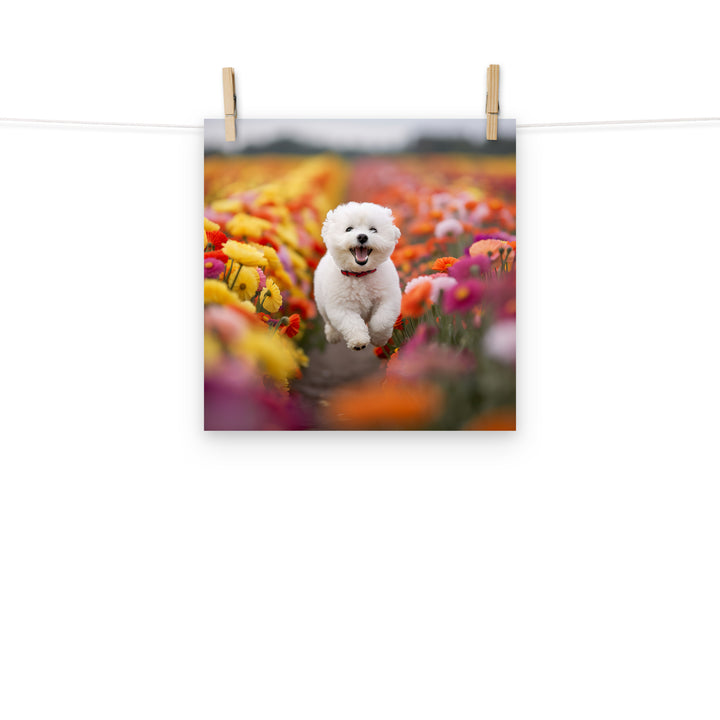 Bichon Frise Photo paper poster - PosterfyAI.com