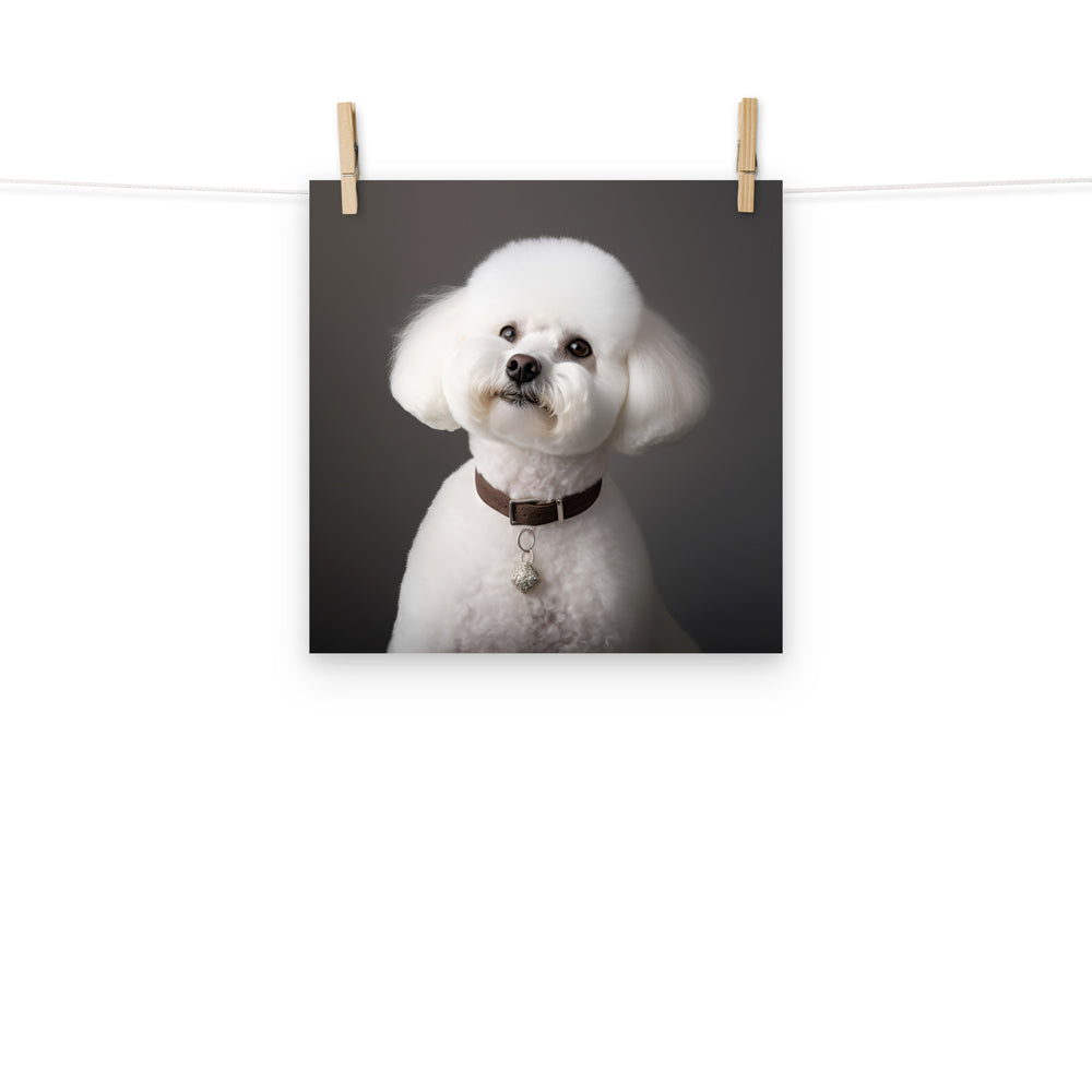 Bichon Frise Photo paper poster - PosterfyAI.com