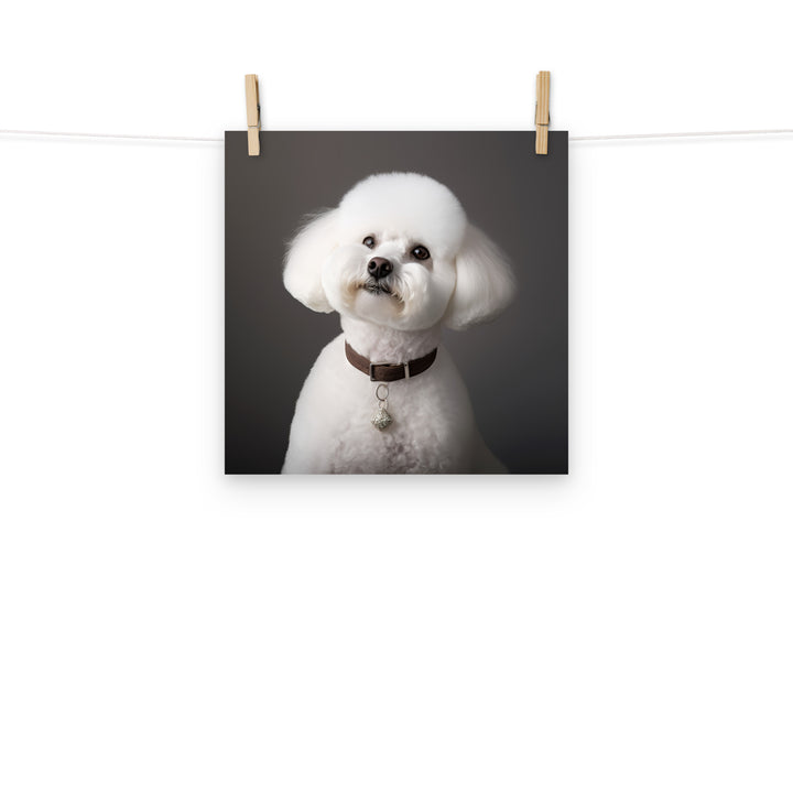 Bichon Frise Photo paper poster - PosterfyAI.com