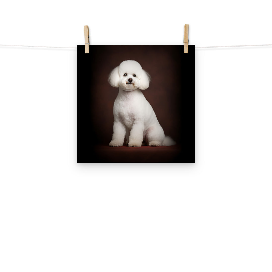 Bichon Frise Photo paper poster - PosterfyAI.com