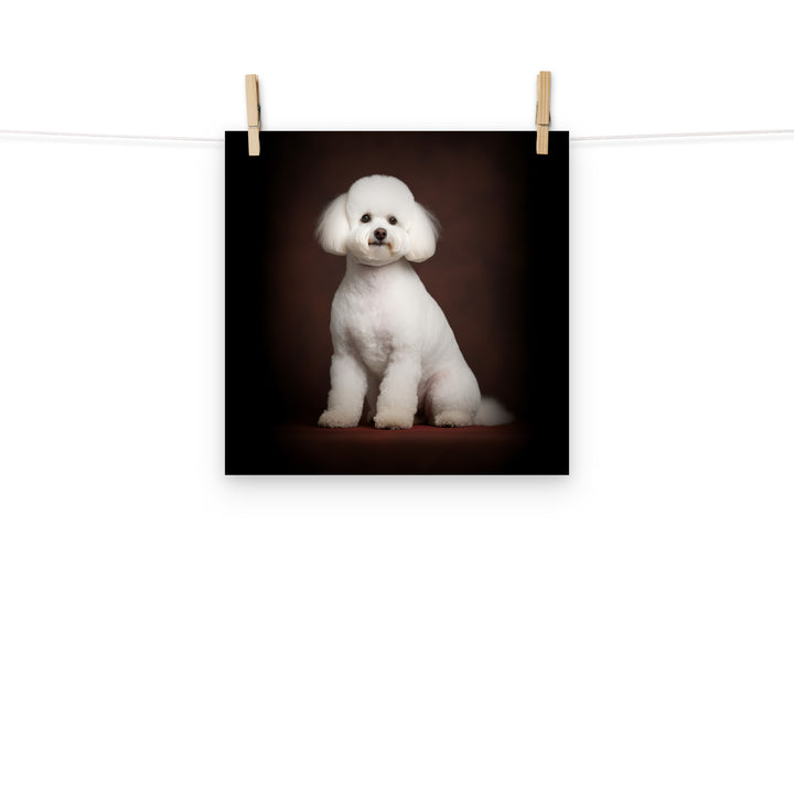 Bichon Frise Photo paper poster - PosterfyAI.com