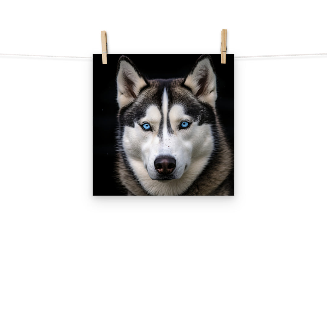 Siberian Husky Photo paper poster - PosterfyAI.com