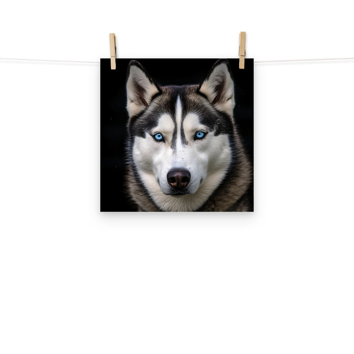 Siberian Husky Photo paper poster - PosterfyAI.com