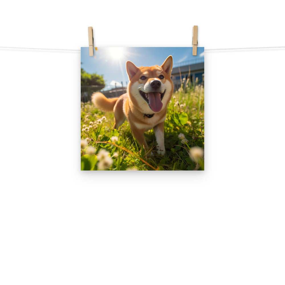 Shiba Inu Photo paper poster - PosterfyAI.com