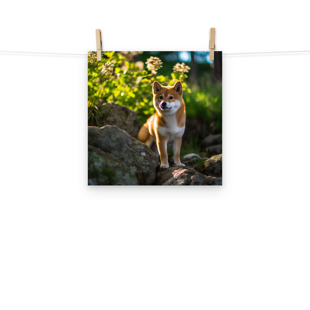 Shiba Inu Photo paper poster - PosterfyAI.com