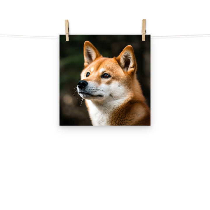 Shiba Inu Photo paper poster - PosterfyAI.com
