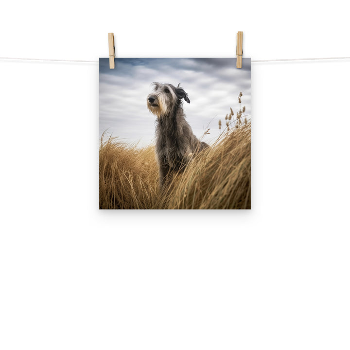 Scottish Deerhound Photo paper poster - PosterfyAI.com