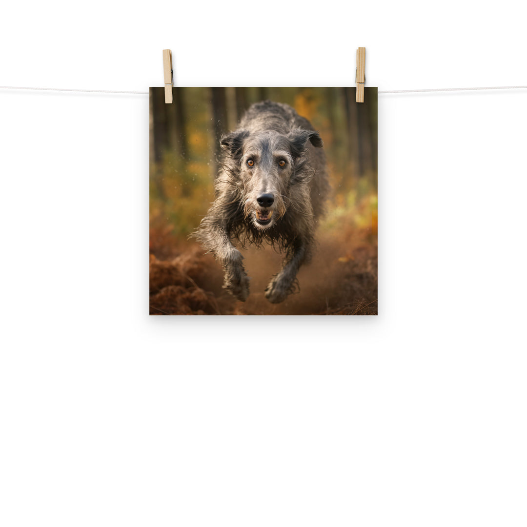 Scottish Deerhound Photo paper poster - PosterfyAI.com
